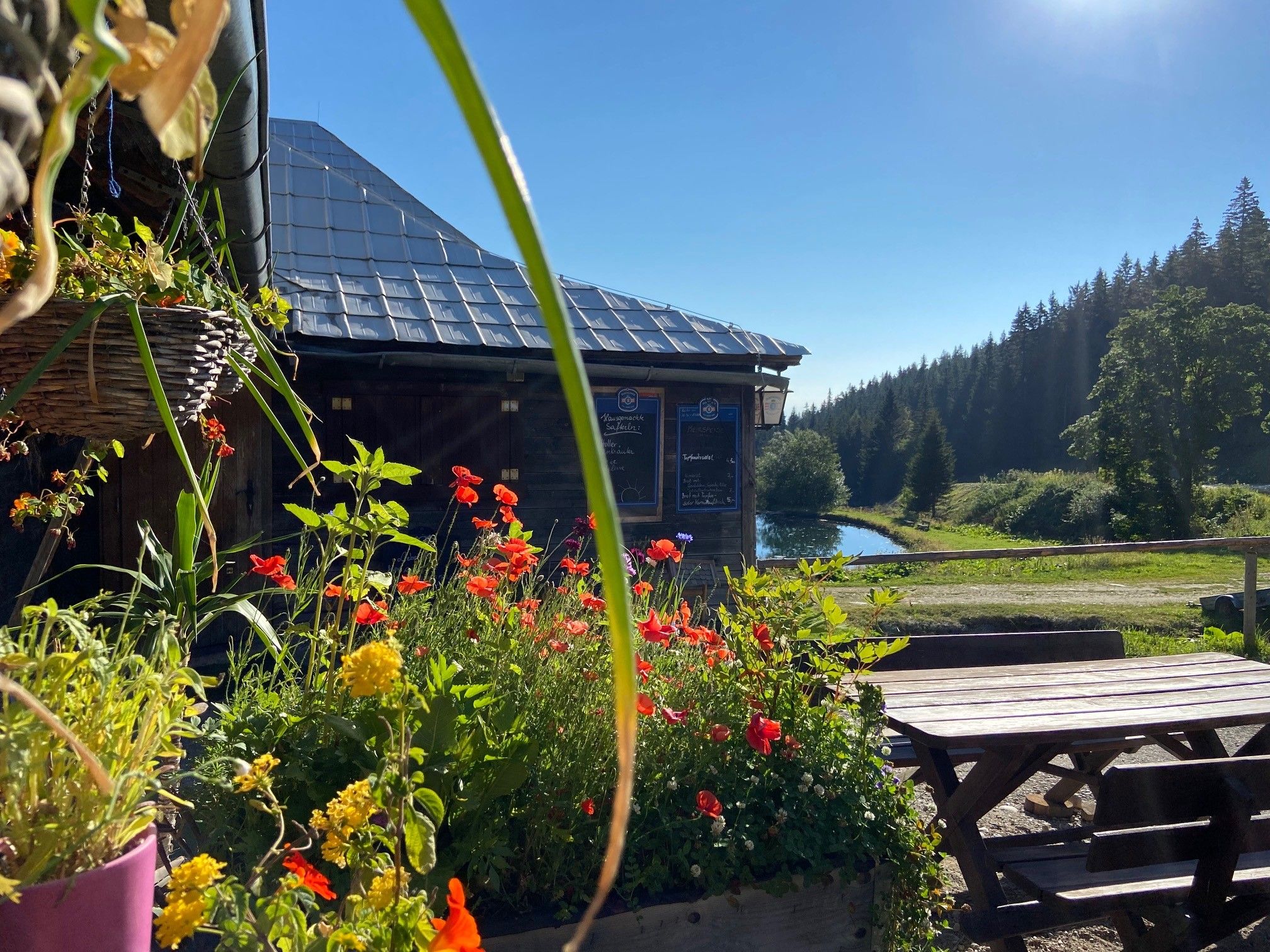 Flowers in front of a mountain hut with a pond and forest in the background.