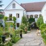 An idyllic courtyard with plants and a seated person.