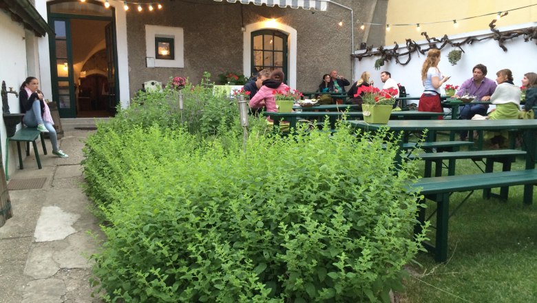 Our guest garden, &copy; I.R.