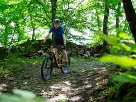 Mountainbiker am Singletrail unterwegs, &copy; Donau N&Ouml; Tourismus/Barbara Elser