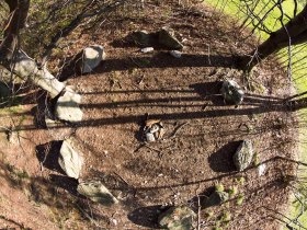 Blickplatz Steinkreis in Krumbach | Bucklige Welt, &copy; &copy;Wiener Alpen, Foto: Franz Zwickl