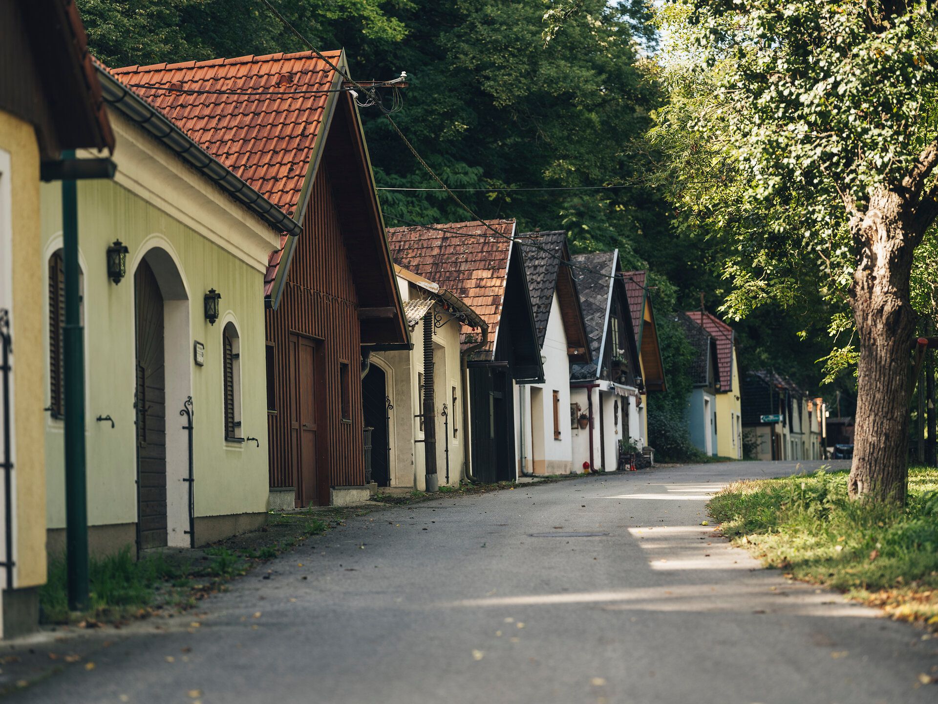 Row of wine cellars in a green, wooded setting.