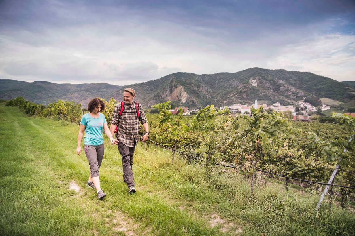 Hikers on the Rossatz panorama trail