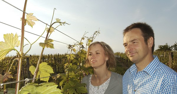 Lorenz Bauer Winery, &copy; Lorenz Bauer