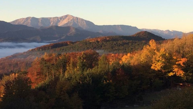 Autumn landscape with colorful trees and mountains in the background at sunrise.