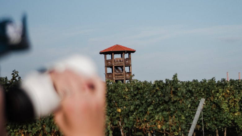 A wooden tower with a red roof stands behind a vineyard. Someone is holding a camera in the foreground.