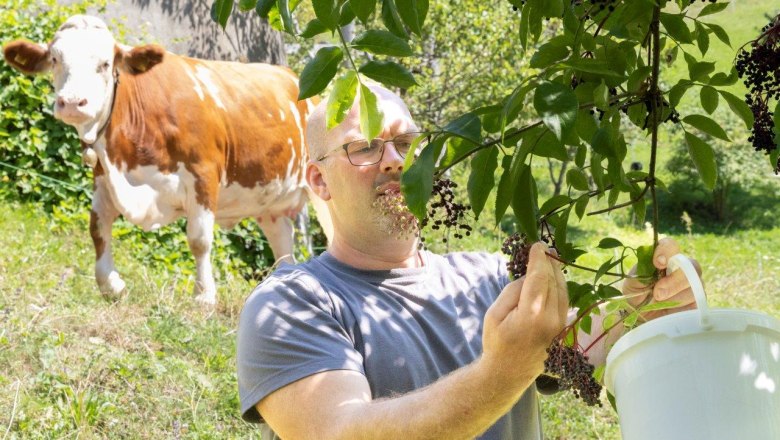 Organic farm Schlangenreith, &copy; Theo Kust