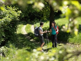 Wandern in der Buckligen Welt, &copy; Wiener Alpen / Florian Lierzer