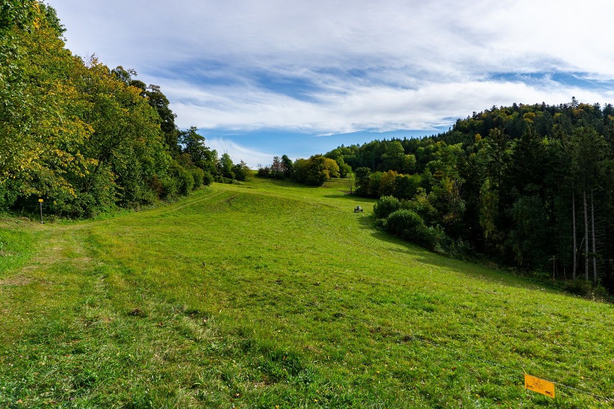Traunfellnerweg