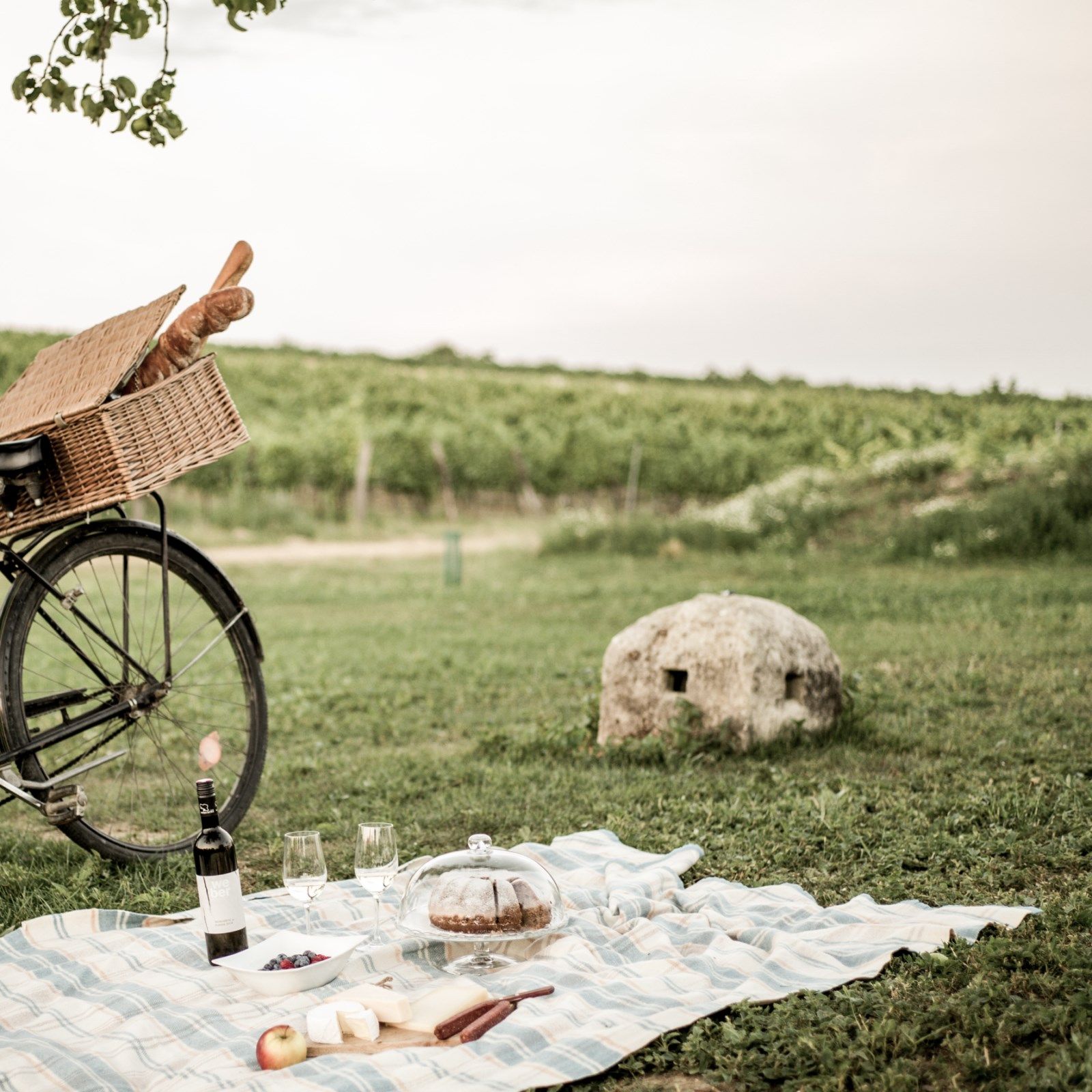 Picnic blanket with wine, glasses, cake and fruit on a meadow in front of a vineyard.