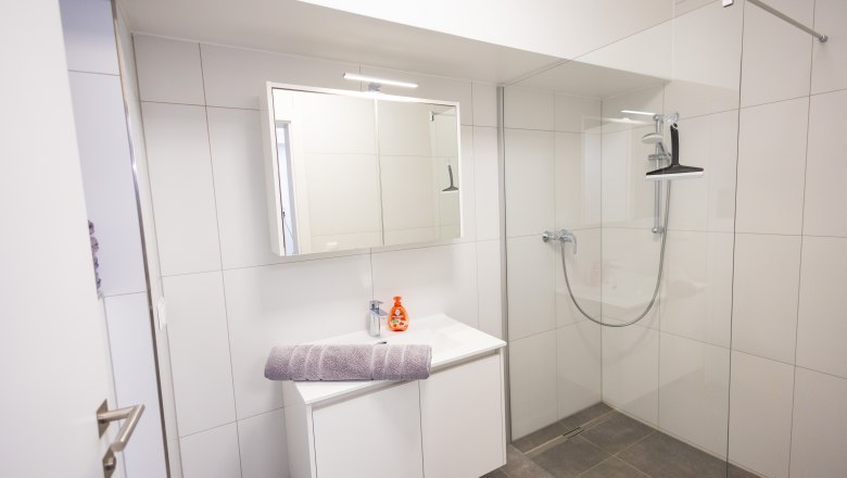 Modern bathroom with shower, washbasin and mirror.