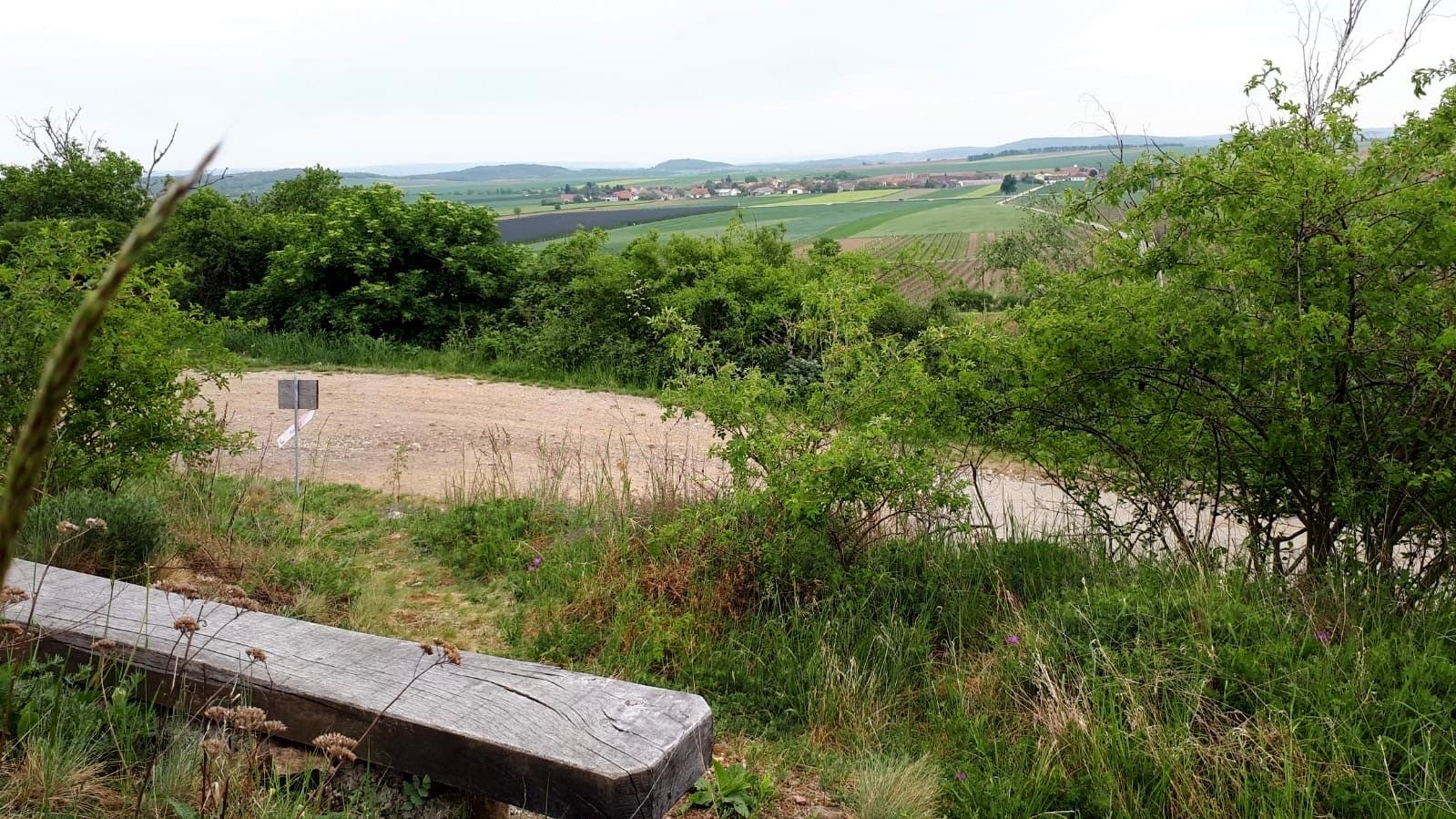 Landscape with bench, trees and fields in the distance.