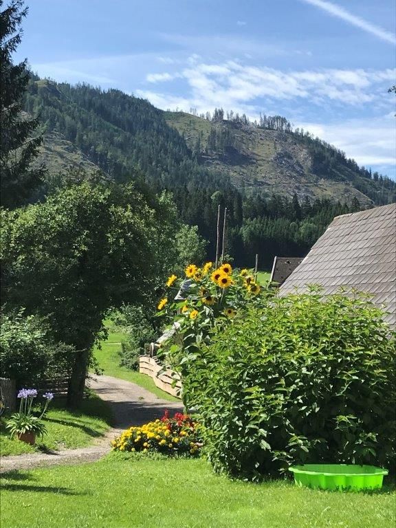 Farm view