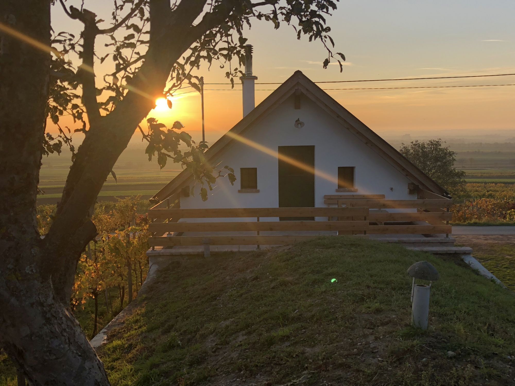 A small house at sunset with a tree in the foreground.