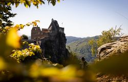Ruine Aggstein in der Wachau mit Blätter im Vordergrund.