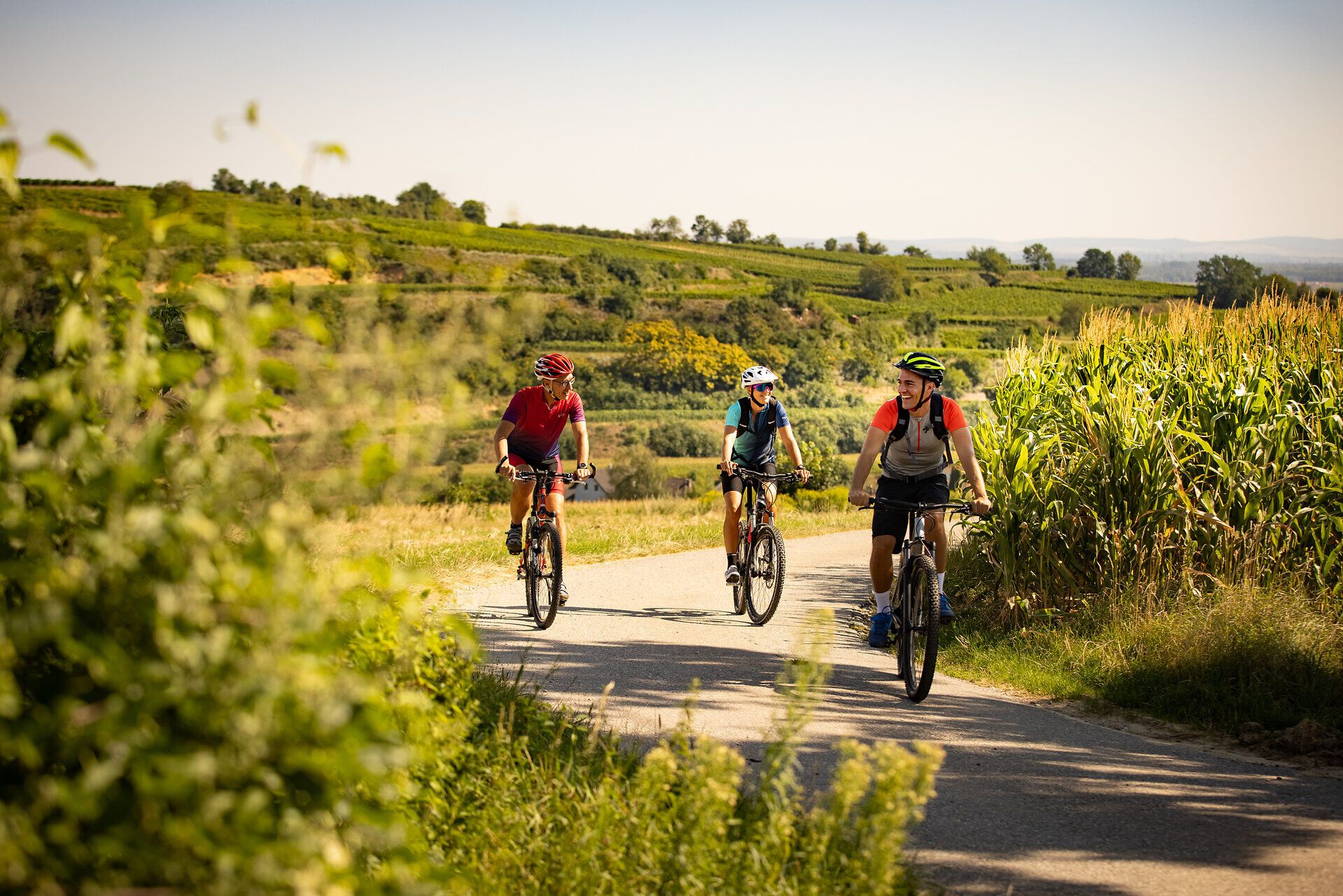 The rolling hills of the wine country invite you to take a refreshing mountain bike ride. Cyclists enjoy breathtaking views of the vineyards and the idyllic countryside while breathing in the fresh air and feeling the sun on their skin.