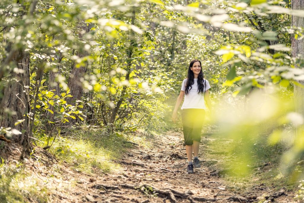 Hiking in the Vienna Woods