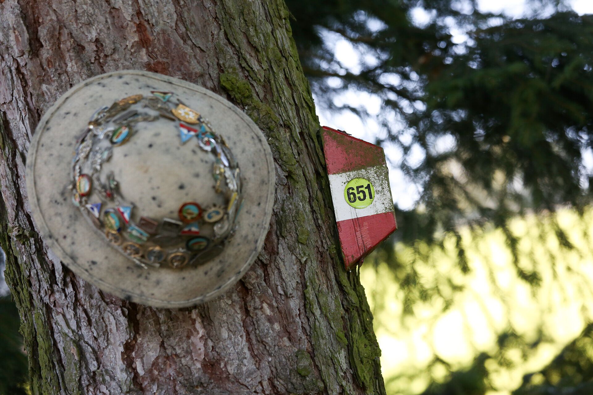 A rustic hat, adorned with memories, hangs from an old tree while the soft light of the sun dances through the leaves. The path leads through a picturesque landscape that invites you to hike and fills your soul with the beauty of nature. Here, where the silence of the mountains and the fresh air merge harmoniously, every step becomes an experience.