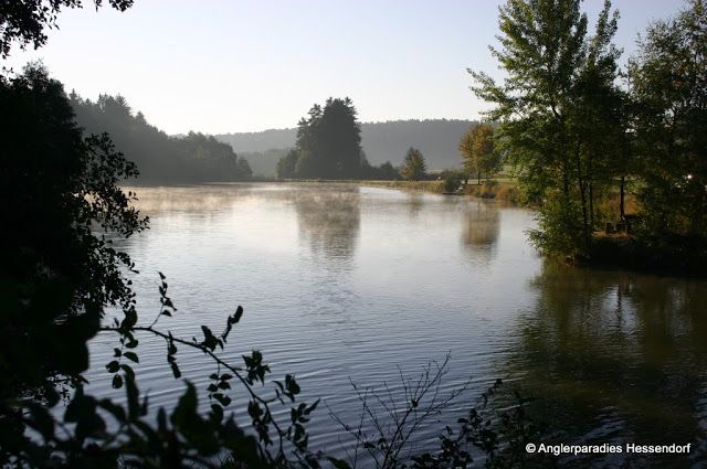 A calm lake in the morning light with trees on the shore and a light mist over the water.