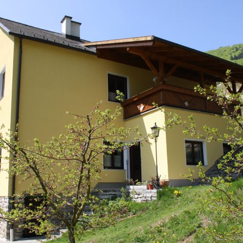 Yellow house with flowering tree