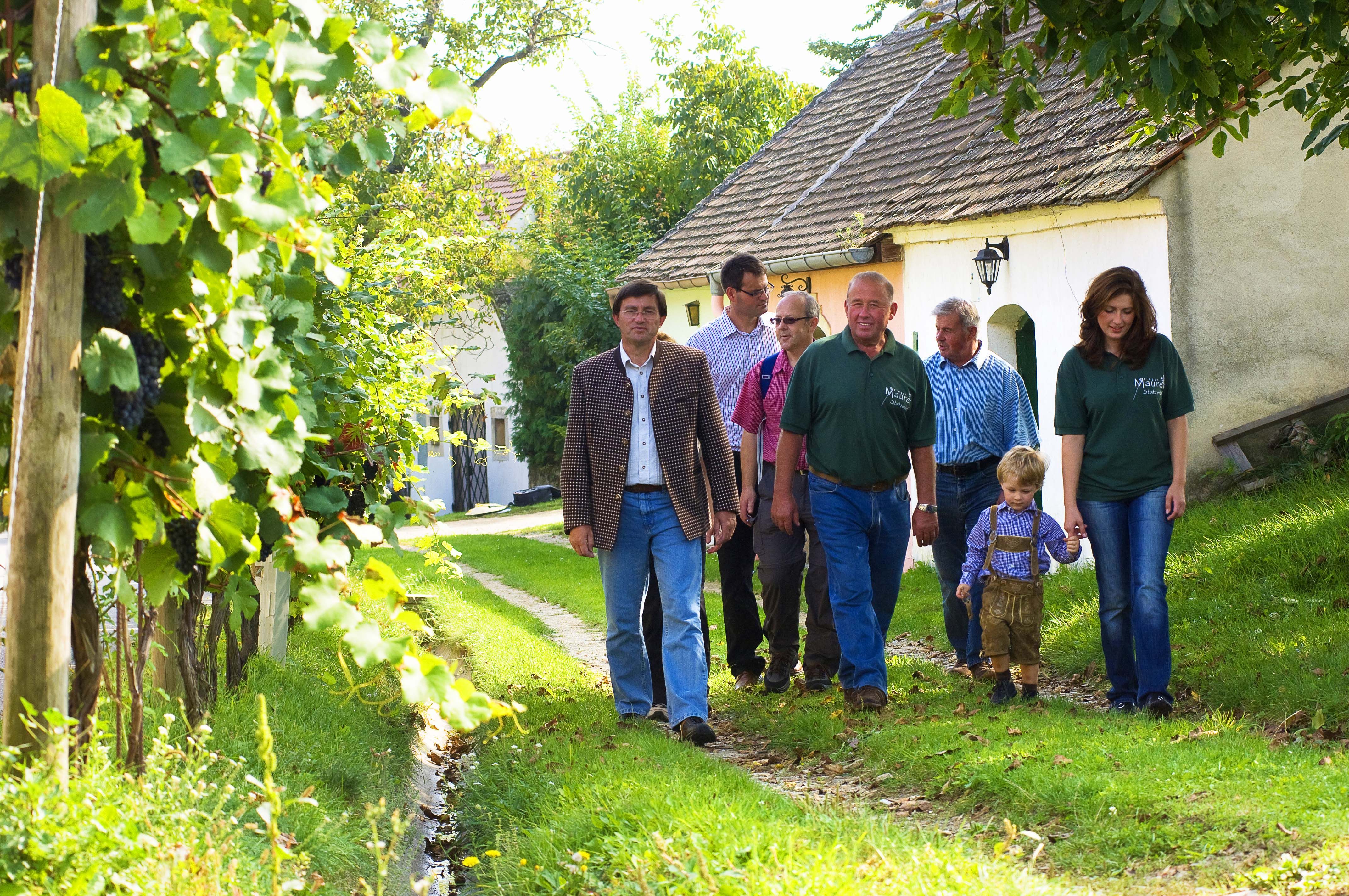 Guided tour of the cellar lanes