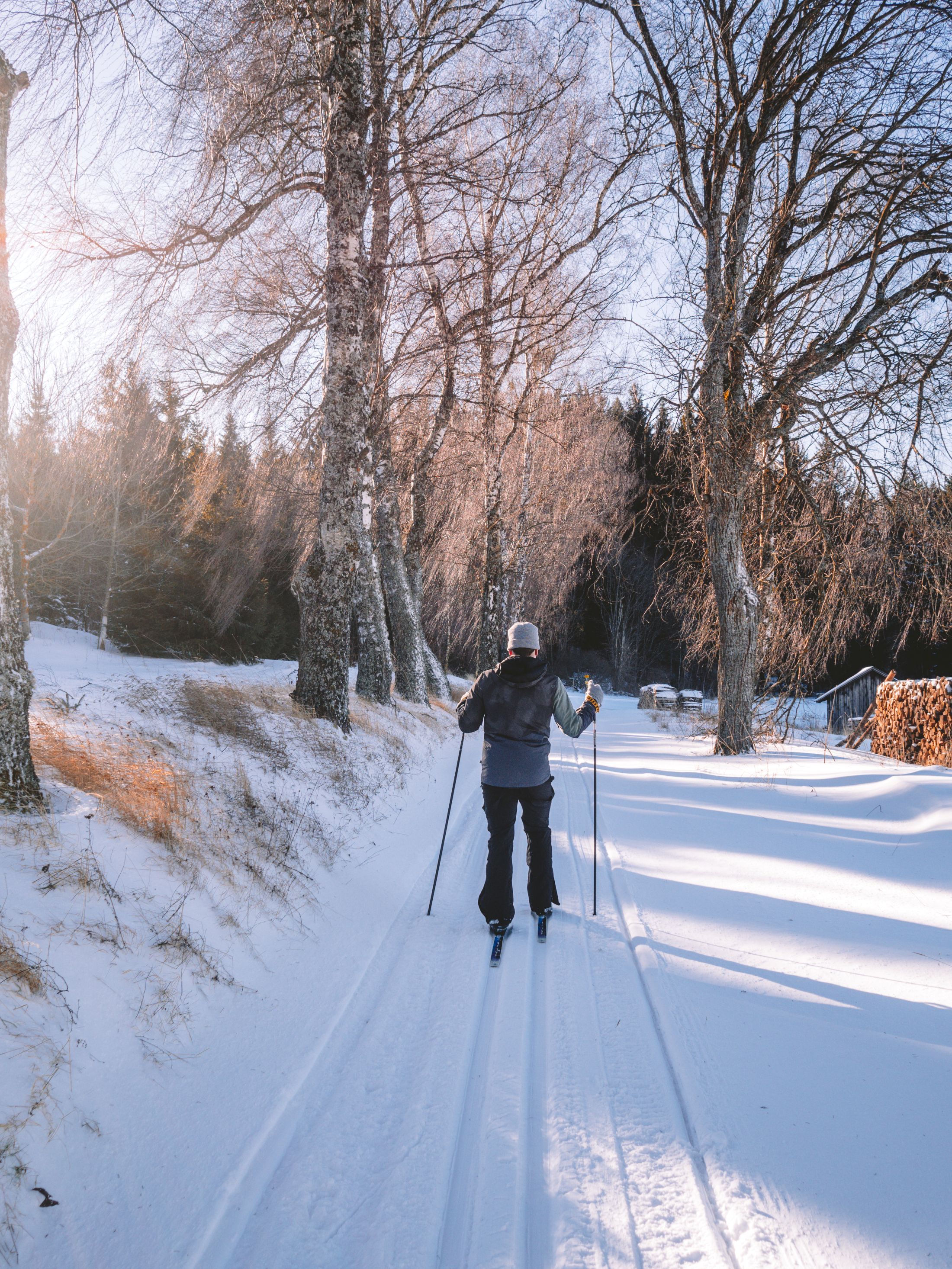 Person cross-country skiing on a snow-covered trail, surrounded by trees and sunlight.