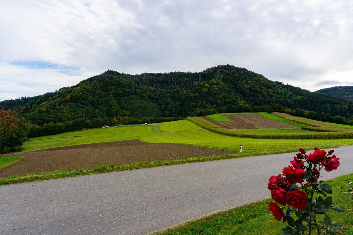 View from the Gerersdorf chapel