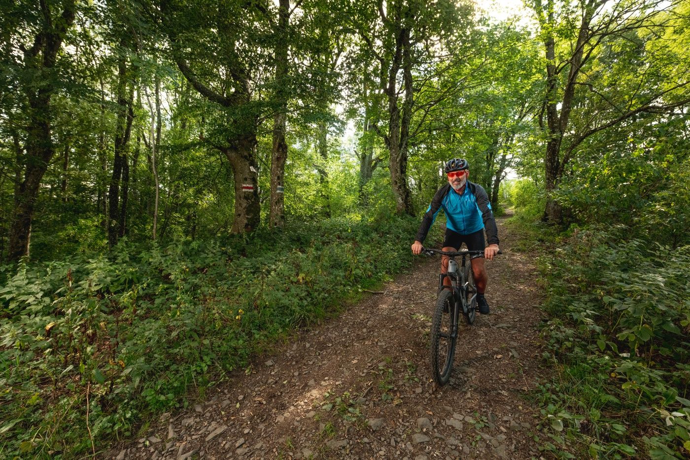 MTB Vienna Woods