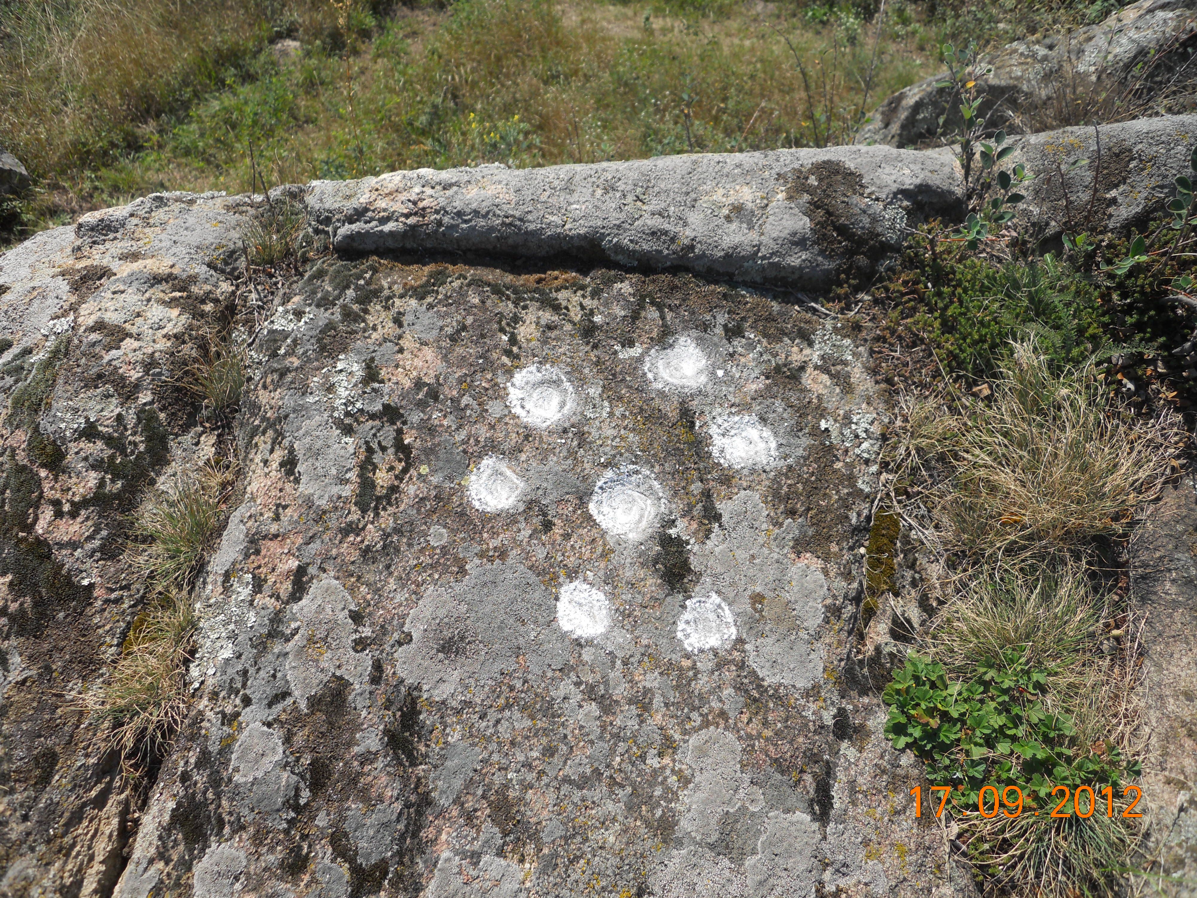 A rock with several white, circular markings in a natural environment.
