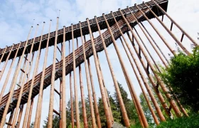 Schrems high moor, © WeinFranz