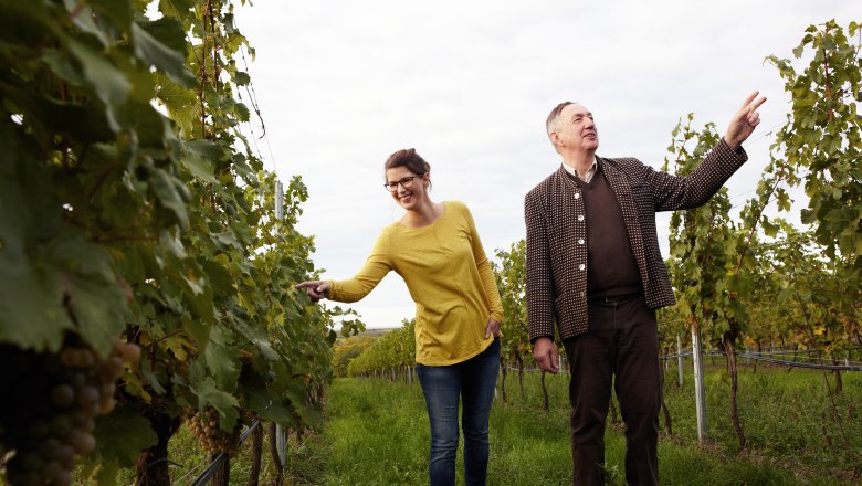 Two people are standing in a vineyard looking at the vines.