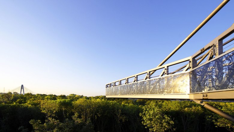 A modern footbridge above the treetops in the Tulln garden under a clear sky.
