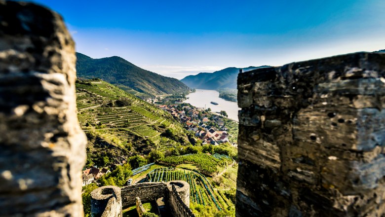 View of a river landscape with vineyards and a village from a ruined castle.