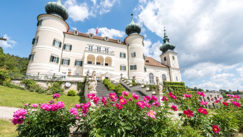 Castle with towers and peonies in the foreground, blue sky with clouds.