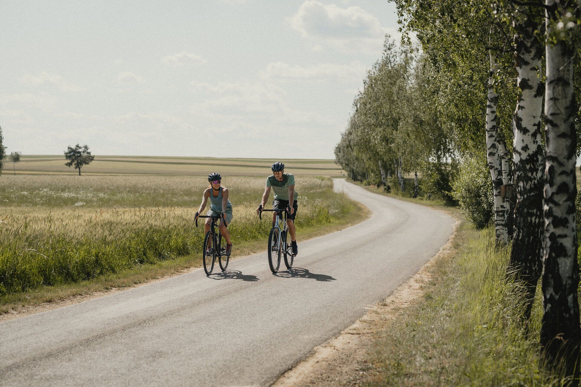Two cyclists ride along a road in summer, next to them on one side an avenue of trees, on the other flowering fields