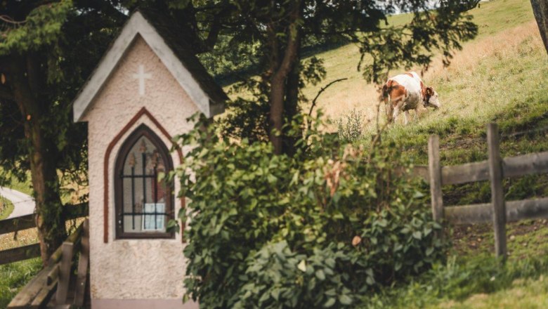 Tavern Almhaus Hochkogel, &copy; Gerald Demolsky