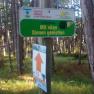 A sign in the forest with the words 'Enjoy with all your senses' and an arrow pointing upwards.