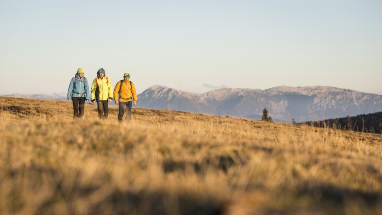 Wandern in den Wiener Alpen, Schneeberg, © Martin Fueloep