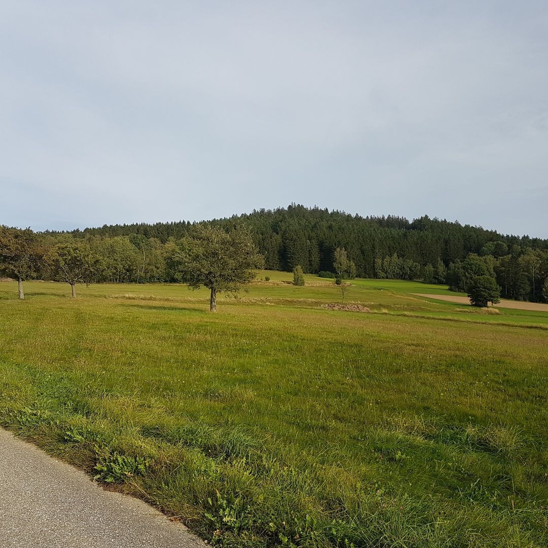 Village path