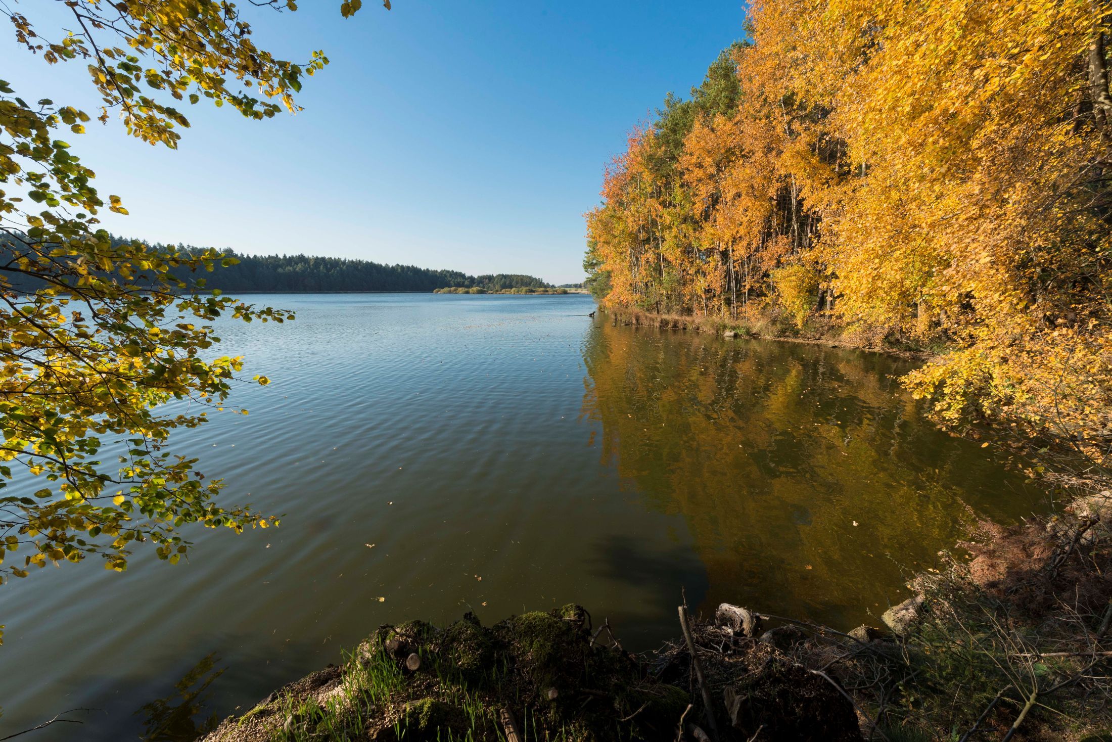 Autumn landscape with lake and colorful foliage in the Waldviertel.