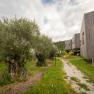 Modern buildings next to olive trees in a green landscape.