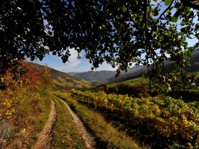 Wachau im Herbst, &copy; Graben Gritsch/Petr Blaha