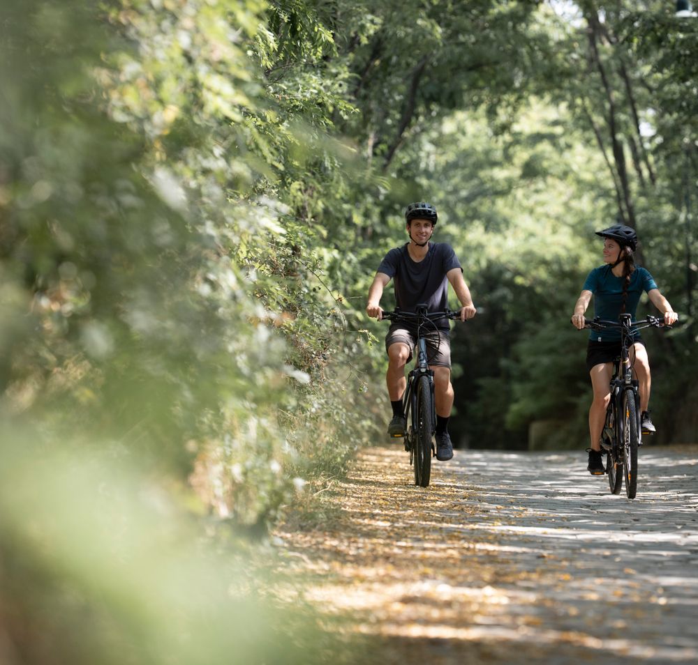Die sanften Hügel des Weinviertels laden zu einer erfrischenden Radtour ein. Zwei Radfahrer genießen die ruhige Atmosphäre und die üppige Natur entlang des Radywegs, während die Sonne durch die Bäume blitzt. Hier, wo die Weinreben in der Ferne blühen, wird der Sommer in vollen Zügen erlebt.