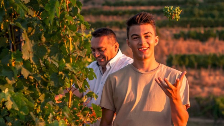 Two men in a vineyard, one juggling grapes.