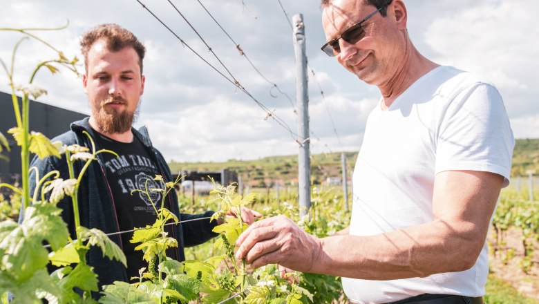 Wolfgang and Christian Aigner, © Michael Parak Two men in a vineyard, inspecting the vines.