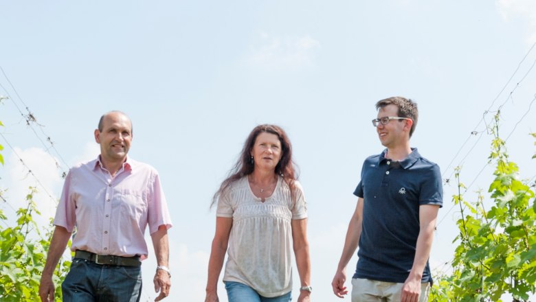 Three people walking through a vineyard in sunny weather.
