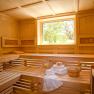 Interior view of a sauna with wooden benches, towels and a window with a view of the greenery.