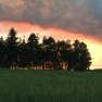 Sunset with forest, &copy; Peter Brezina