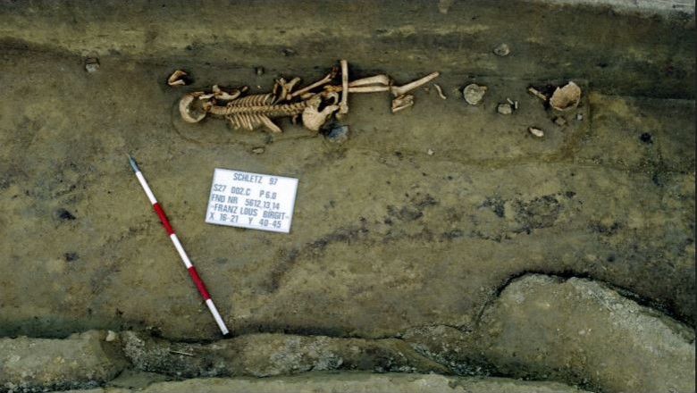 Human skeletons were discovered during the excavation, © Landessammlungen Niederösterreich