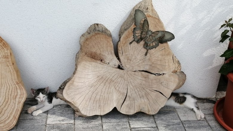 the longest cat in the world, &copy; Martina Bachzelt